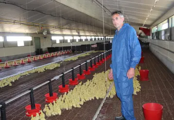 <em class="placeholder">Hilaire Bousseau parvient à limiter ses pertes en canetons à 0,4% en moyenne.</em>