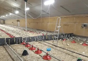 <em class="placeholder">L’observation du comportement des poulets s’est faite grâce à la captation d’images par une caméra infrarouge sur la zone de collecte de 15 m2 et en s’appuyant sur ...</em>