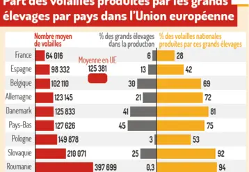Par des volailles produites par les grands élevages par pays dans l'Union européenne
