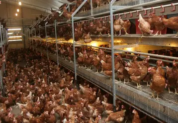 <em class="placeholder">-	Provimi conseille l’apport d’un antioxydant contre le vieillissement prématuré des cellules et un hépato protecteur par cure afin de soutenir le foie et limiter ...</em>