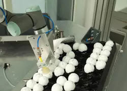 Sur le modèle utilisé fin 2018 par Seleggt, les œufs contenant des mâles sont retirés par un bras automatique, après avoir subi le test de détection du sulfate d'œstrogène. © Seleggt