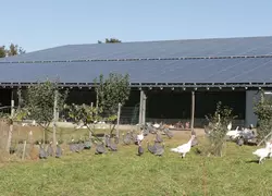 Le bâtiment avec toiture photovoltaïque comprend 4 salles d'élevages, donnant chacune sur un préau devant les parcours.